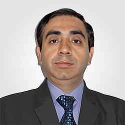 Aloke Goel - Chief Financial Officer - Pune IT City Metro Rail Ltd